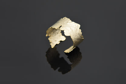 Nova Bangle