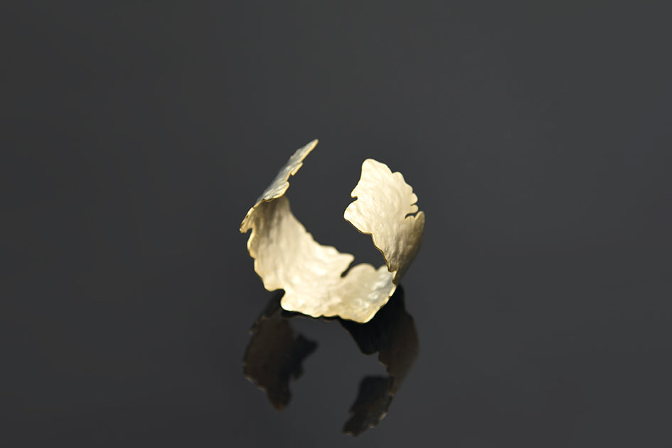 Nova Bangle