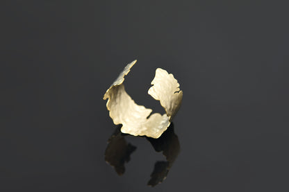 Nova Bangle